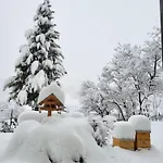 Apartment Herma Ramsau am Dachstein