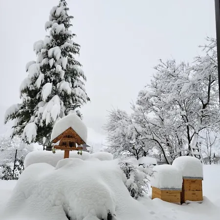 Apartment Herma Ramsau am Dachstein