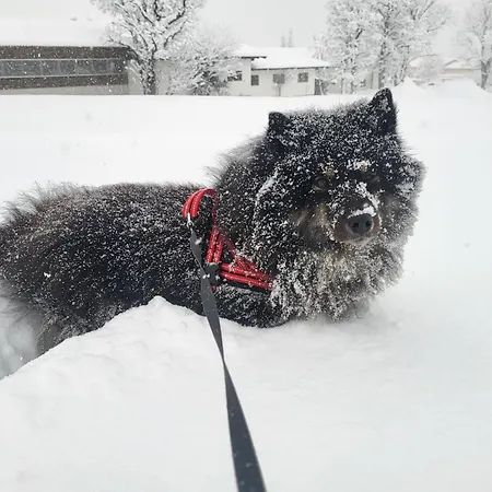 Lägenhet Gaestehaus Herma
