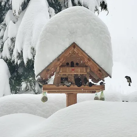 Gaestehaus Herma Lägenhet