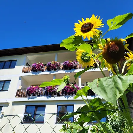 Gaestehaus Herma Apartment