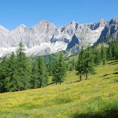 Lägenhet Gaestehaus Herma Ramsau am Dachstein