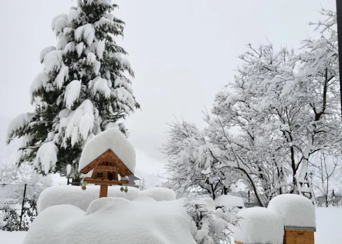 Апартаменти Gaestehaus Herma Рамзау-ам-Дахштайн