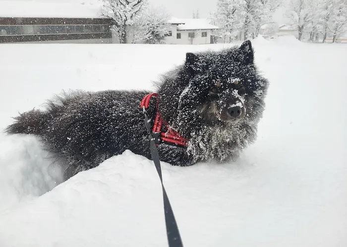 Апартаменти Gaestehaus Herma