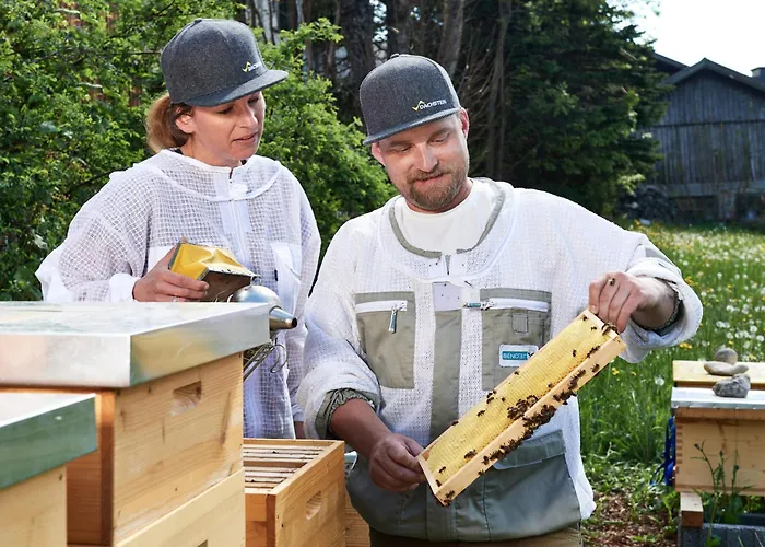 Gaestehaus Herma Апартаменти Рамзау-ам-Дахштайн