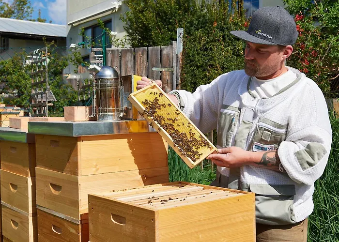 Gaestehaus Herma * Рамзау-ам-Дахштайн