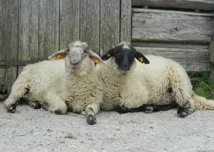 Апартаменти Gaestehaus Herma Рамзау-ам-Дахштайн