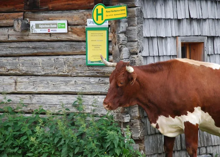 Апартаменти Gaestehaus Herma *